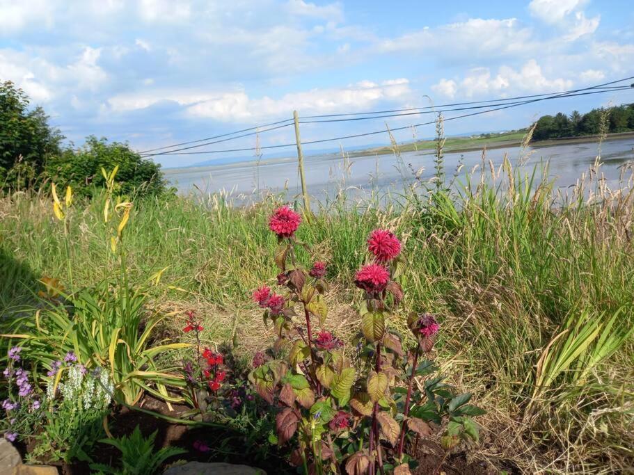 2 Quay Road, Killala. Stunning Sea Front Cottage מראה חיצוני תמונה